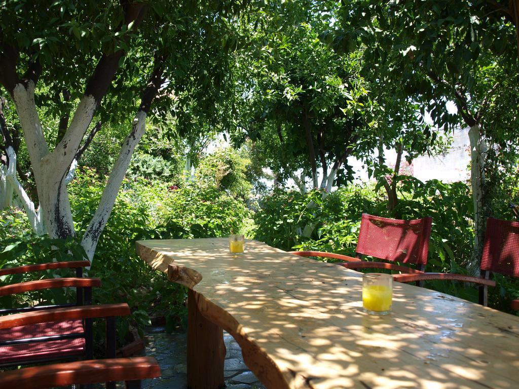 Εlegant Villa Liakos Pigí Zewnętrze zdjęcie